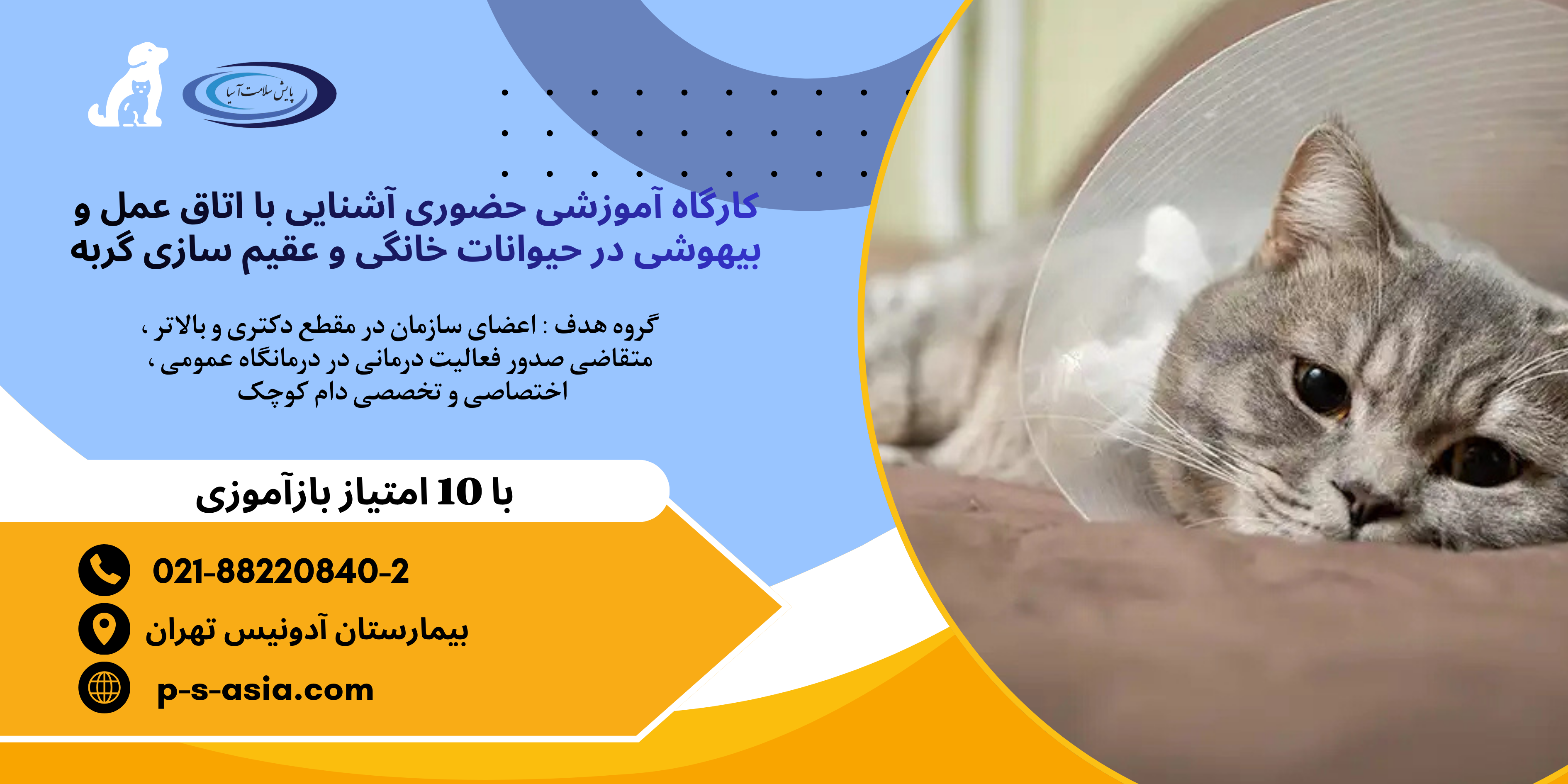 کارگاه آموزشی حضوری آشنایی با اتاق عمل و بیهوشی در حیوانات خانگی و عقیم سازی گربه